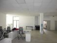 P1160570.JPG