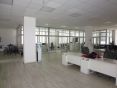 P1160560.JPG